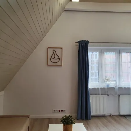 公寓 Apartament Motlava IV
