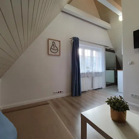 Apartament Motlava IV 公寓 格但斯克